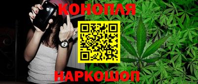 шишки Бузулук