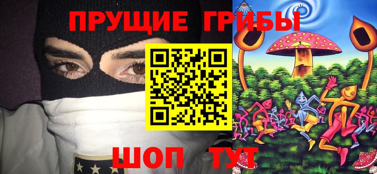 где найти наркотики  Вход с VPN  Новый Уренгой  Псилоцибиновые грибы прущие грибы 