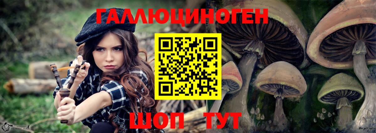 Галлюциногенные грибы Psilocybe Новый Уренгой